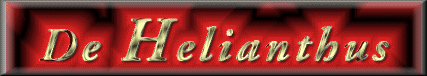 DeHelianthus te Haarlem. Praktijk voor Alternatieve- en Natuurgeneeswijzen. Holistisch toegepaste Bioresonantie, Electroacupunctuur, Kleurenpunctuur, Homeopathie, Fytotherapie, Orthomoleculair, Biotensor en Craniosacraal.